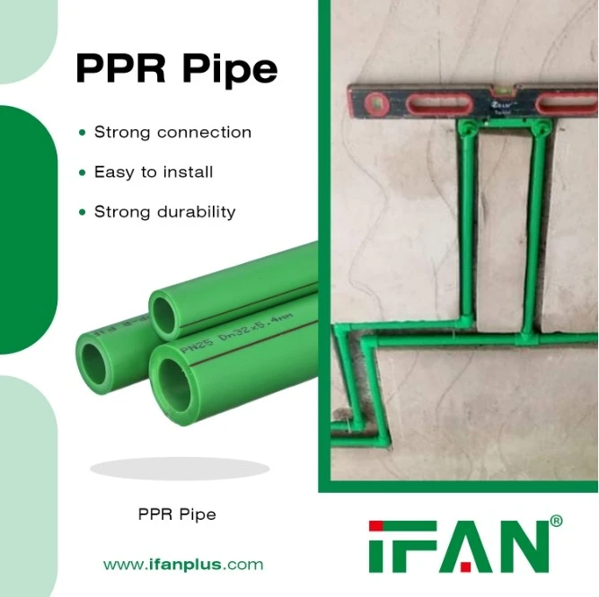 IFAN PPR IFAN PPR